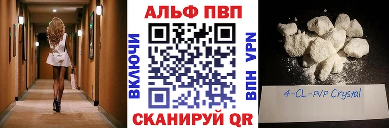 дарнет шоп  Оса  А ПВП крисы CK 