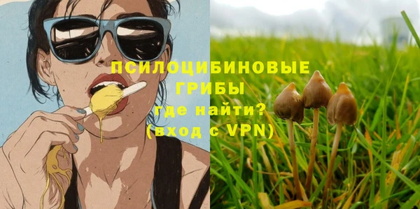 дмт Алексин